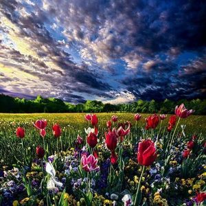 Meet your Posher, Marie